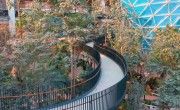 Buja trópusi kerttel hívogat a dohai repülőtér 