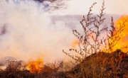 Hétvégén erdőtűz tombolt Krétán, de sikerült megfékezni