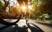 Ausztriai és rábaközi útvonalakat is összeköt az újonnan átadott kerékpárút