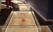 Fiktív temetővel mutatják be nyolcezer év történetét a szolnoki múzeumban