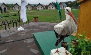 A gólyák, a csodarabbi és a vízi turizmus vonzza a vendégeket ebbe a bodrogi faluba