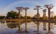 Madagaszkár eltörölt minden beutazási korlátozást