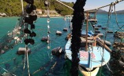 Horvátország még nagyobb hangsúlyt fektet a falusi turizmusra