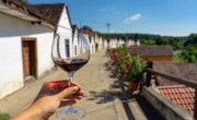 Magyarország a 10. legjobb borturisztikai desztináció