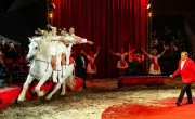 Jubileumi turnéra indul a Magyar Nemzeti Cirkusz utazó társulata