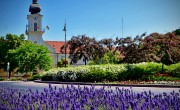 Meghosszabbítják a Virágos Magyarország verseny jelentkezési határidejét