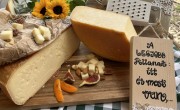 Két pomázi sajt is arany minősítést kapott a világ legrangosabb sajtversenyén