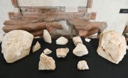 Bemutatták a régészeti szenzációnak számító legújabb leletcsoportot Visegrádon