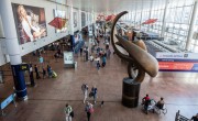Börtönbüntetést kaptak a brüsszeli reptéren hamis teszttel lebukott utasok