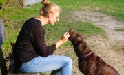 Íme a nagy amerikai találmány: jutifalat-adagoló a kutyusok számára