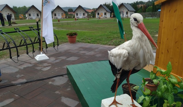 A gólyák, a csodarabbi és a vízi turizmus vonzza a vendégeket ebbe a bodrogi faluba
