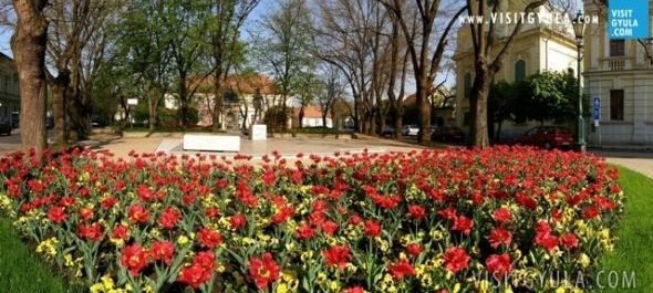 Virágos Magyarországért: 209 település nevezett