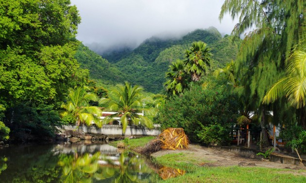 Drámai a járványhelyzet Martinique és Réunion szigetén