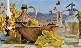 Fókuszban Észak-Magyarország, valamint a bor és bortúrák a novemberi Élmény itthon magazinban