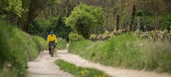 Panoráma kerékpárút és Tűzhányó tanösvény a Balaton-felvidéken