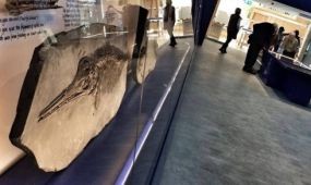 Jurassic múzeum nyílt a brit nemzeti lottóbevételből