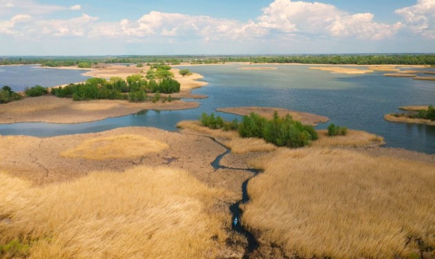 Csodálatos természetfilm készült az 50 éves Tisza-tóról, itt az előzetese