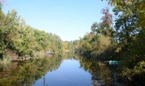 Megkezdődött a Belső-Béda holtág megtisztítása a Duna-Dráva Nemzeti Parkban