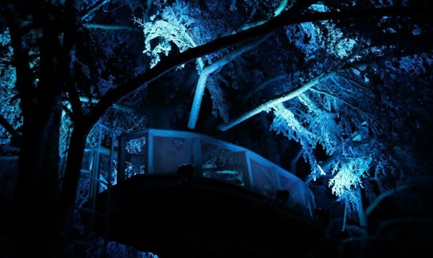 Ünnepi fényfestés teszi varázslatossá a Folly Arborétumot