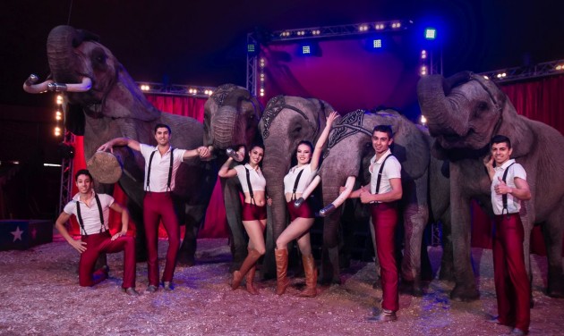 Jótékonysági műsorral indítja 25. évét a Magyar Nemzeti Cirkusz