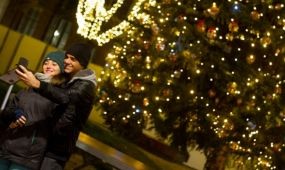 A Városháza parkban állítják fel Budapest karácsonyfáját