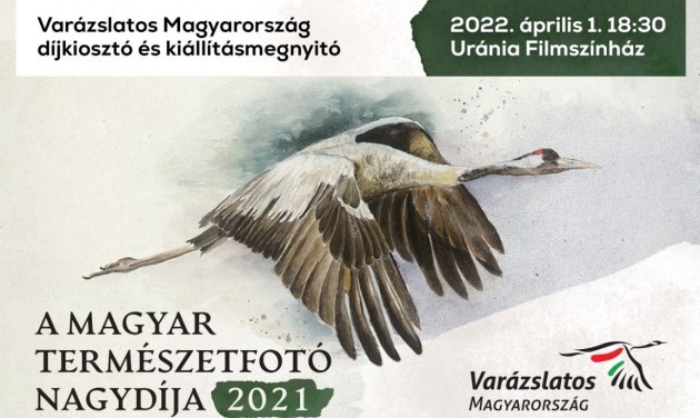 Április 1-jén adják át A magyar természetfotó nagydíját