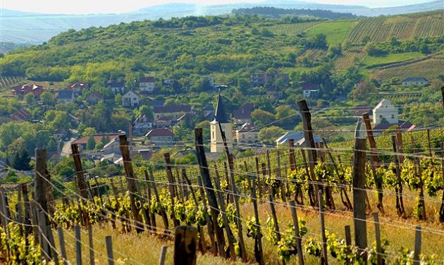 Átadták a Tokaj-hegyaljai polgármesterek borát