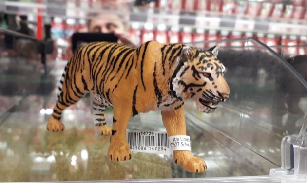 Virtuális tigriskiállítás a Néprajzi Múzeumban