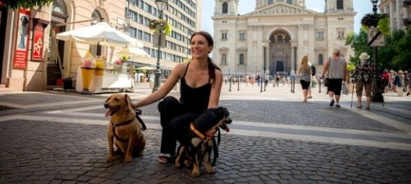 Utazz kutyával – új kampányt hirdetett az MT Zrt.