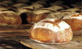 Sercli – A Hungária gőzmalomtól a kézműves pékségekig