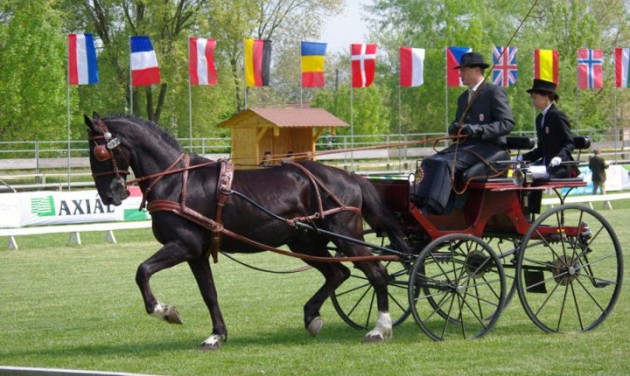 A magyar lovas élet több nemzetközi versenyt is elbír