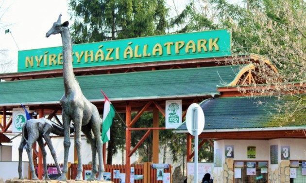 Története legsikeresebb évét zárta a Nyíregyházi Állatpark