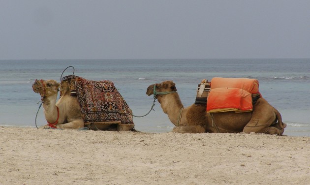 Tunézia eltörli a karantént a csomagot foglaló nyaralóknak