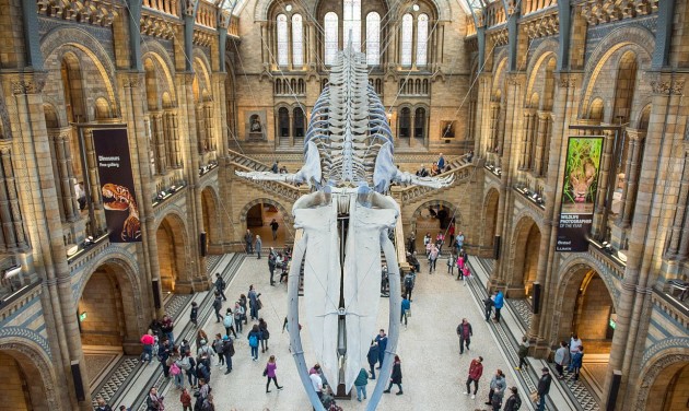 A látogatószám jelentős csökkenésével számolnak a londoni múzeumok