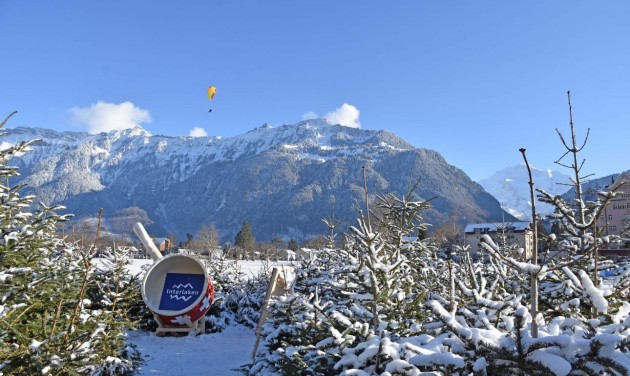 Téli labirintus készült a kidobott fenyőfákból Svájcban – videó